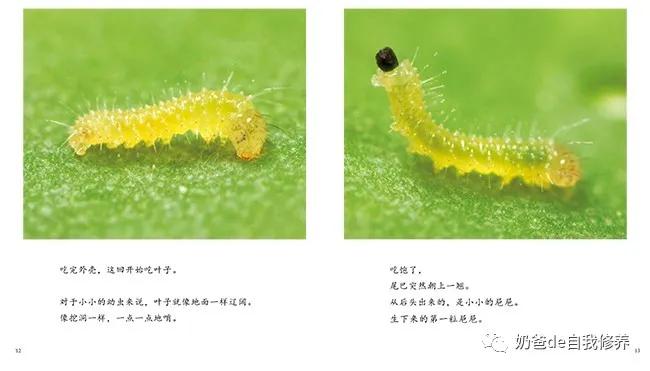 关于动物有趣的书小学生,关于动物好看的书有哪些