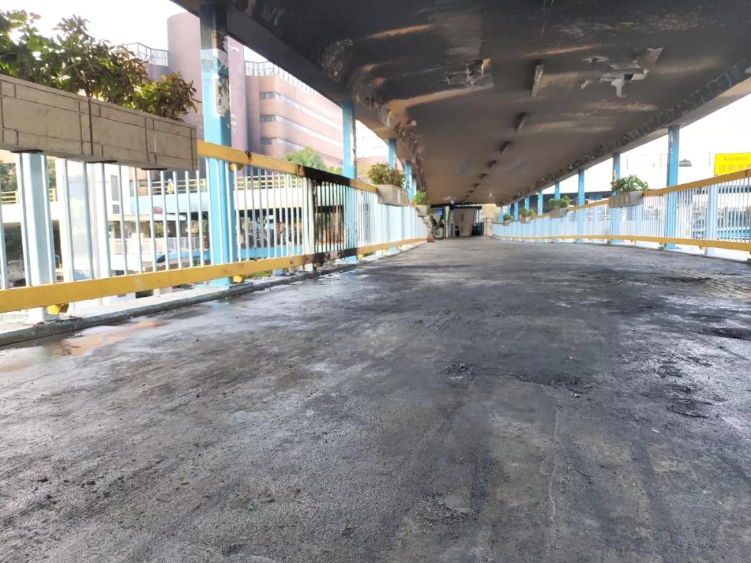 香港红馆演唱会安静,香港红馆怀念张国荣演唱会