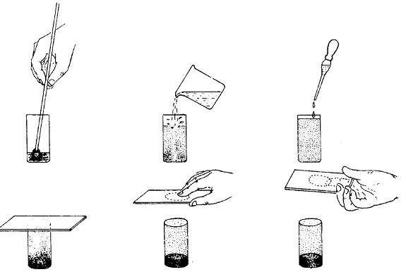 寄生虫|所有动物寄生虫大全临床诊断预防全在这里，收藏吧（图）