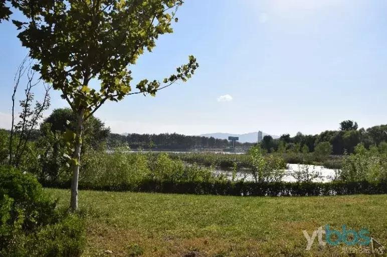 烟台市里人都说自己的街道好！你看对不对！