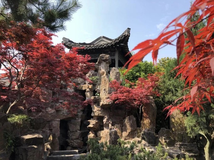 玉人何处教吹笙,玉人何处教吹箫什么梗