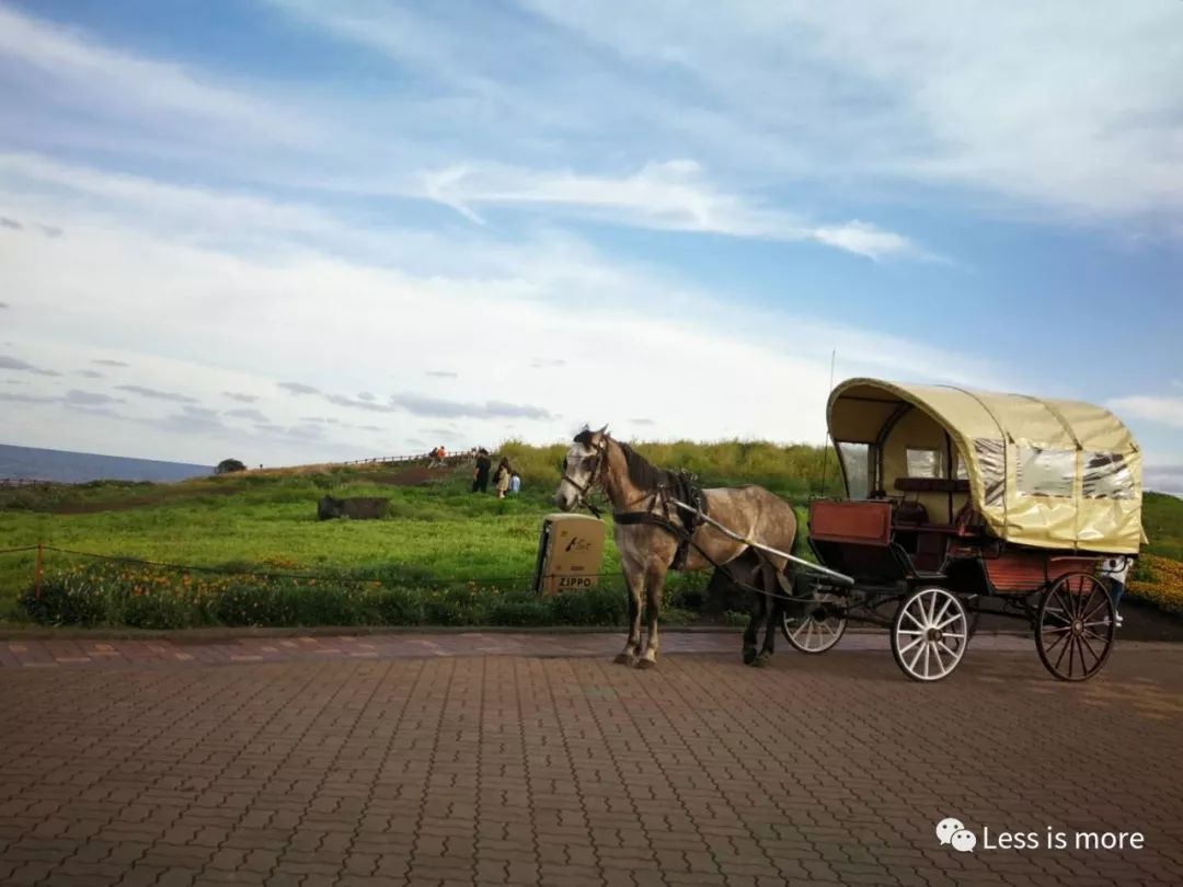 韩国济州岛五天攻略,韩国济州岛旅游详细攻略