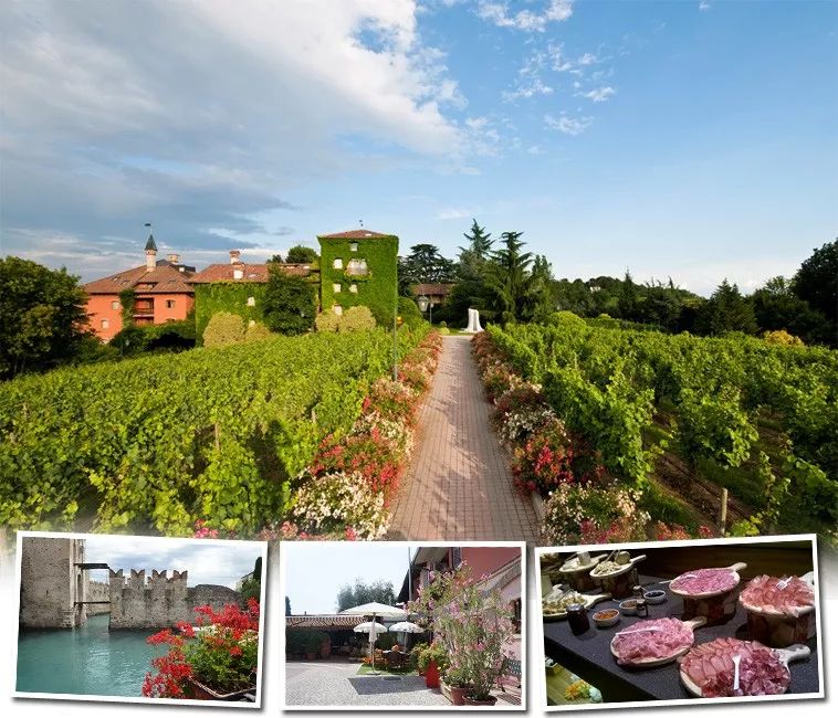 意大利旅游美食攻略介绍,世界美食之旅意大利