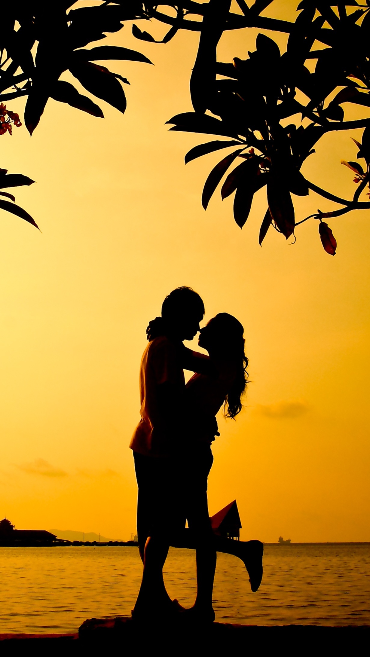 苹果手机IOS10.3系统用爱思助手越狱失败如何处理这个方法可以试