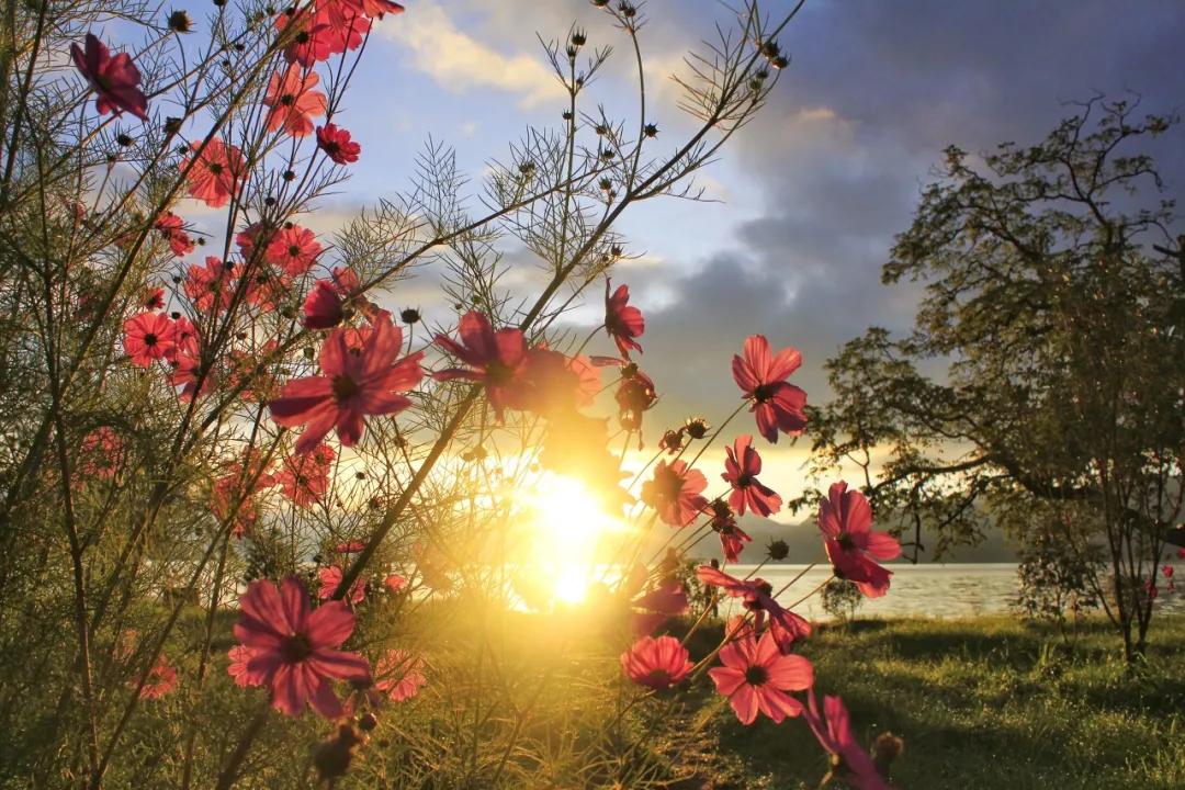 云南淡季旅游线路推荐,云南春季旅行推荐