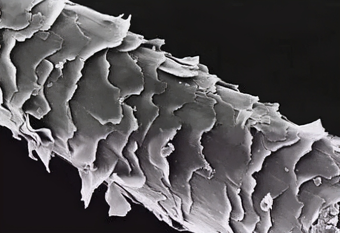 负离子吹风机跟普通的有什么区别,负离子吹风机是真的假的