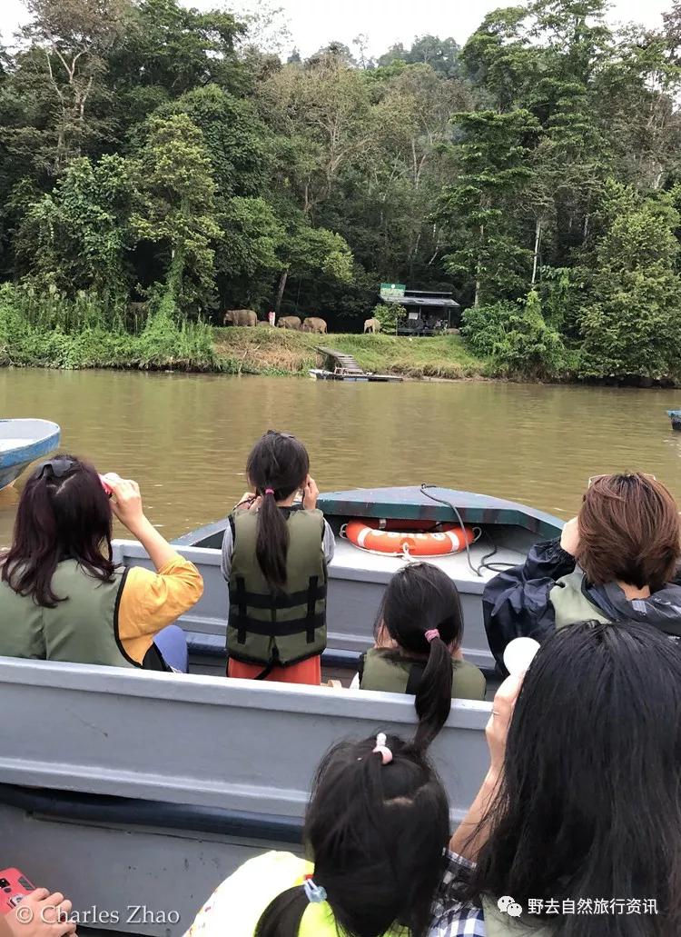 待疫情平息,和孩子一起探索“失落的世界”婆罗洲原始雨林