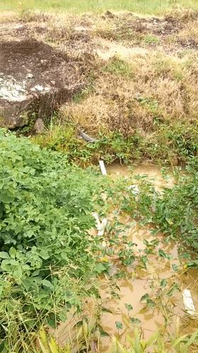 一名男子去河边钓鱼发现鳄鱼,无人区钓鱼遭鳄鱼袭击