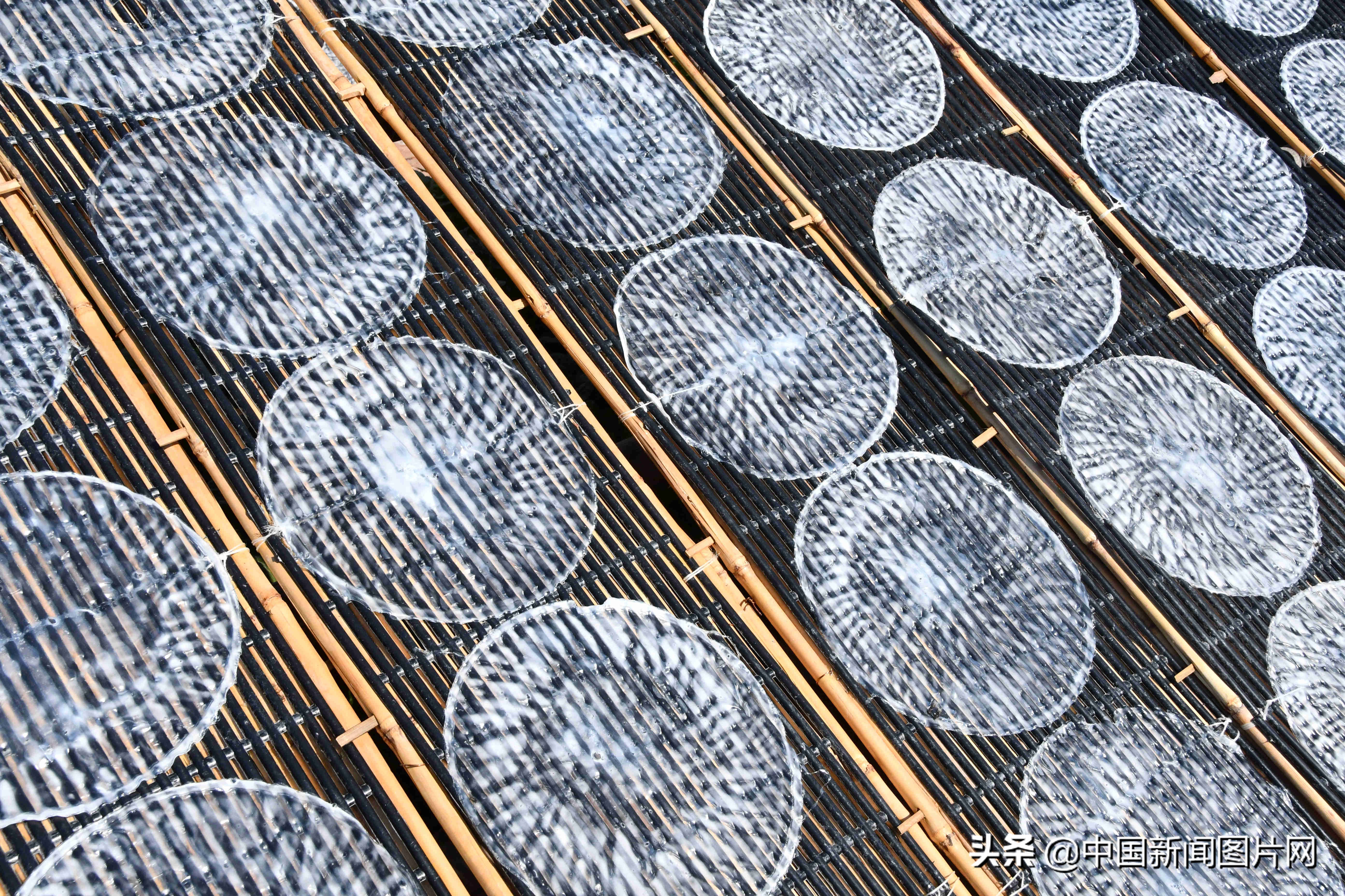 黄县手工粉皮现做现卖,粉皮加工厂致富项目