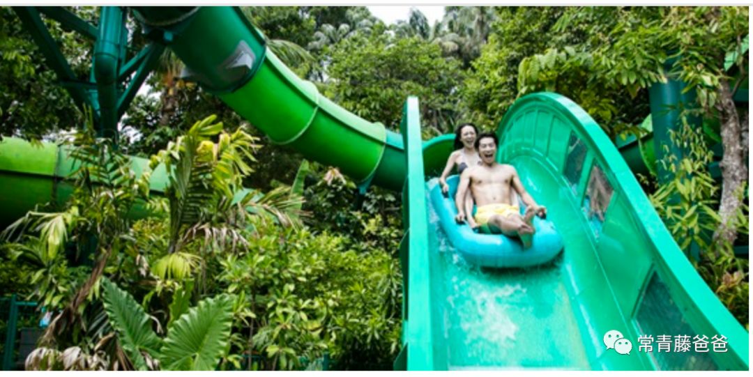 十一新加坡,新加坡5天4晚亲子游推荐哪家