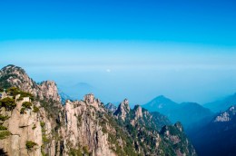 安徽哪个专家最好,安徽分析