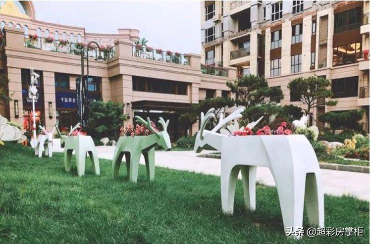 2021年超彩房掌柜郑州探盘第16期