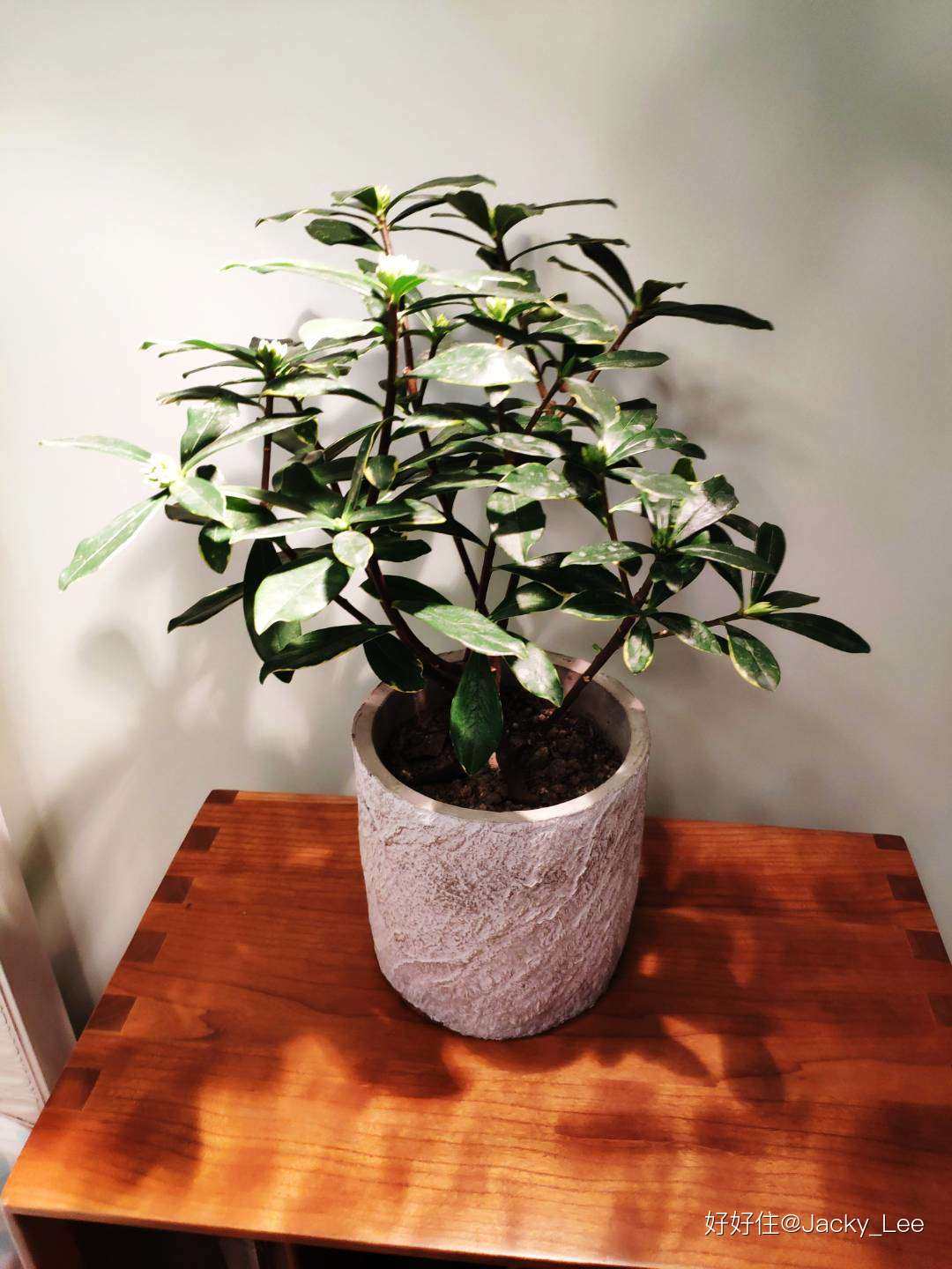 怎么打造一个科技感满满的卧室,如何打造一个满满科技感的家