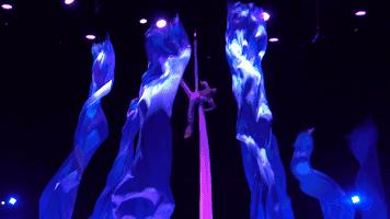 2023贺州园博园迎春水秀灯光会,2023贺州园博园三月三有什么活动