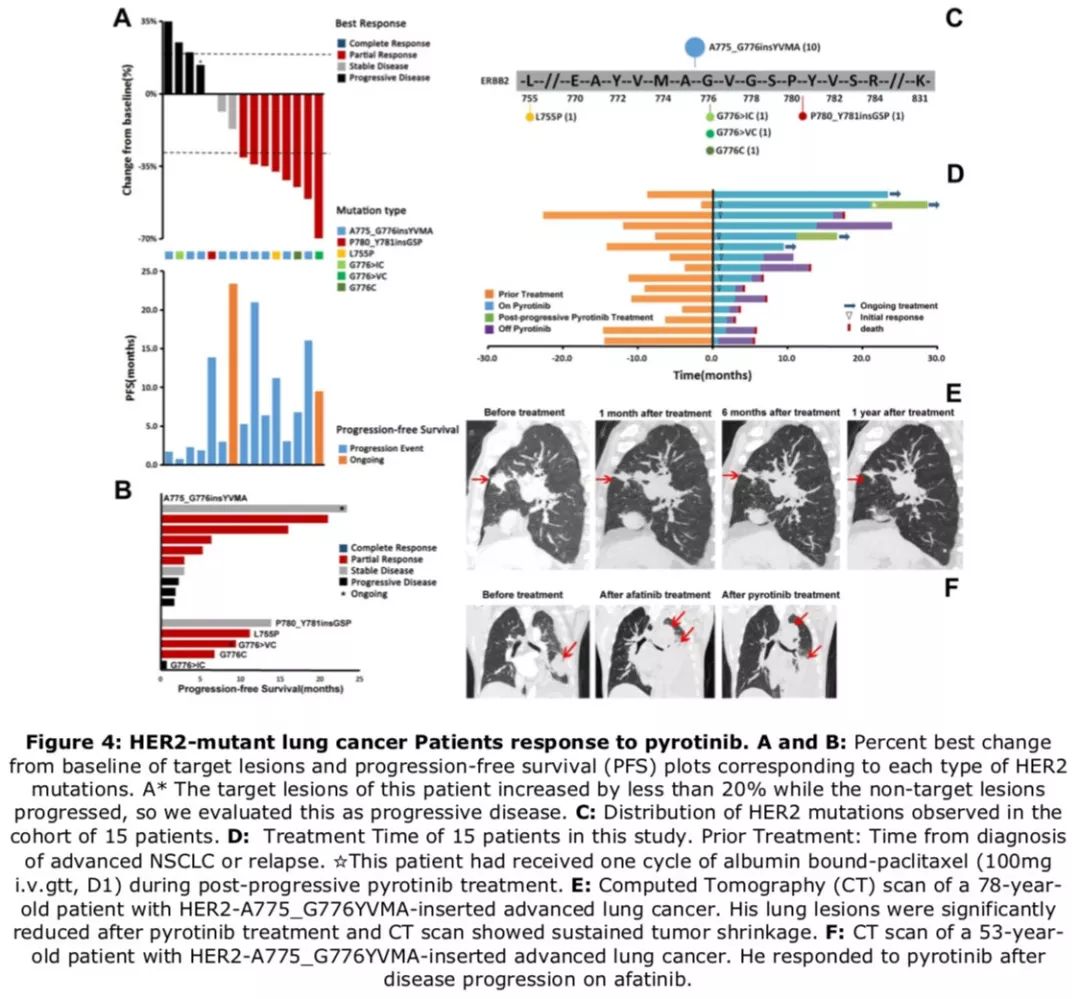 her2肺癌靶向药入集采了吗,肺癌her2靶向药治愈率