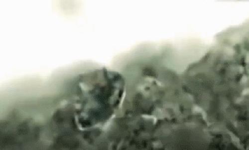 一口黄牙竟让形象尽毁！‘到手香’帮你重新找回自信！大胆开笑