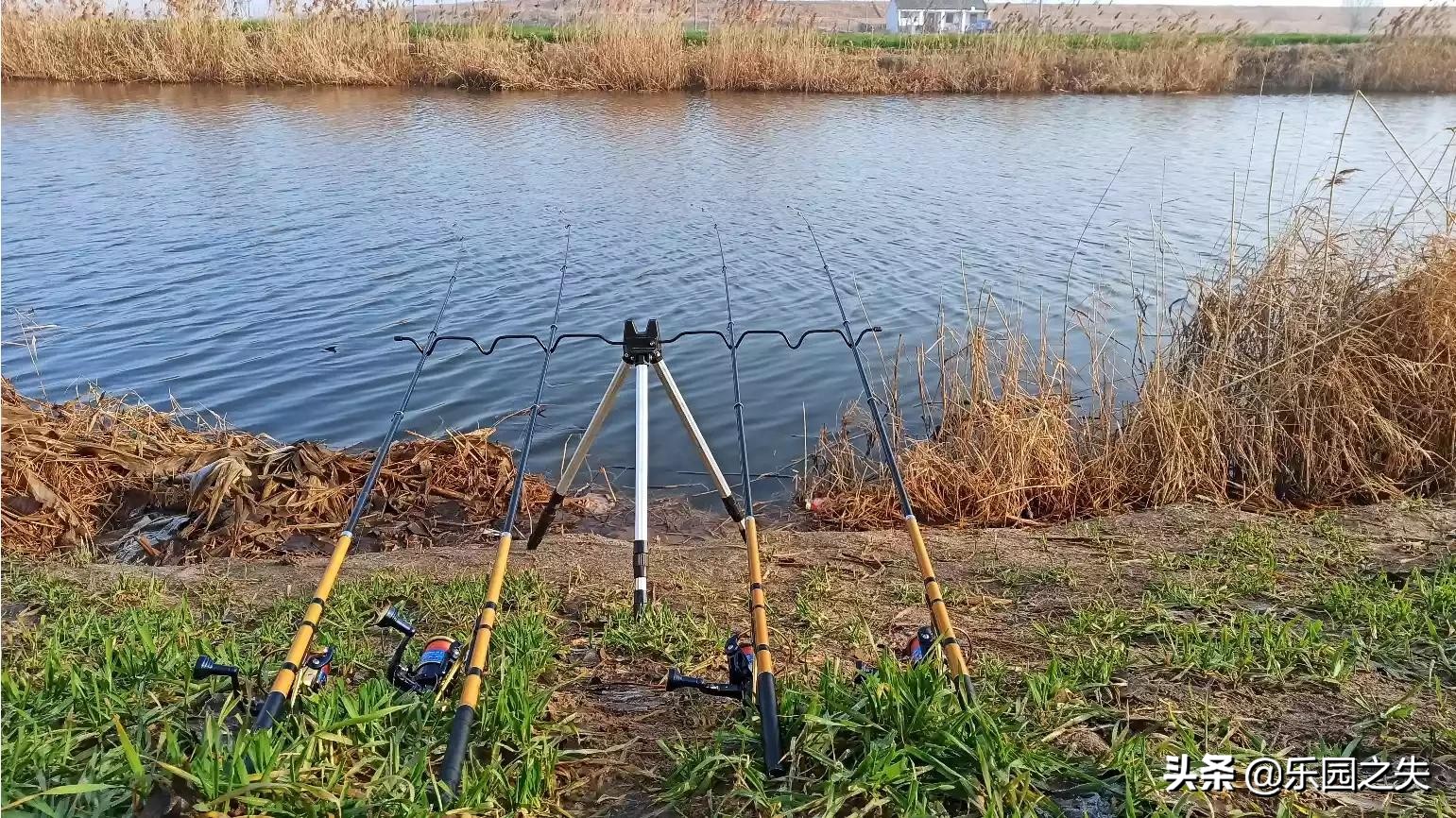 抛竿钓法的种类,抛竿玩法