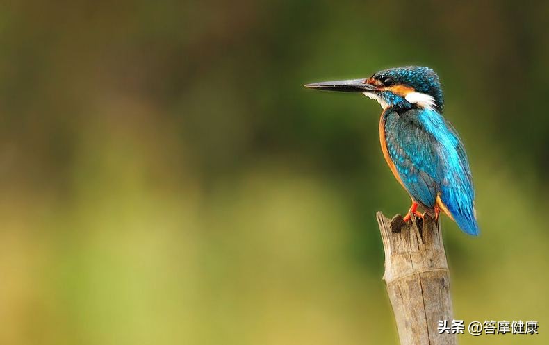 练站桩后肩膀和肘酸疼,站桩后肩膀酸痛是什么原因