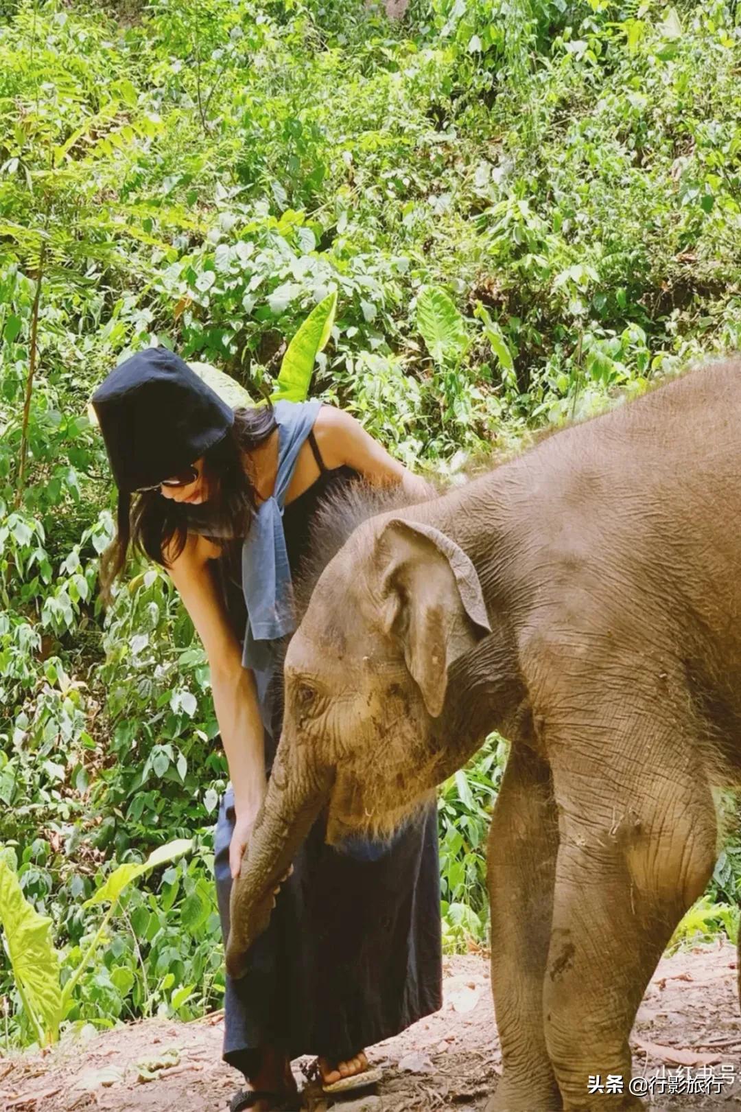 云南西双版纳地方介绍,云南西双版纳旅游简介