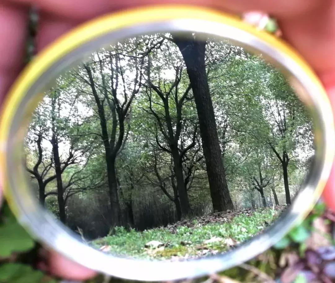 镜中的武工院，是最美？妙不可言？