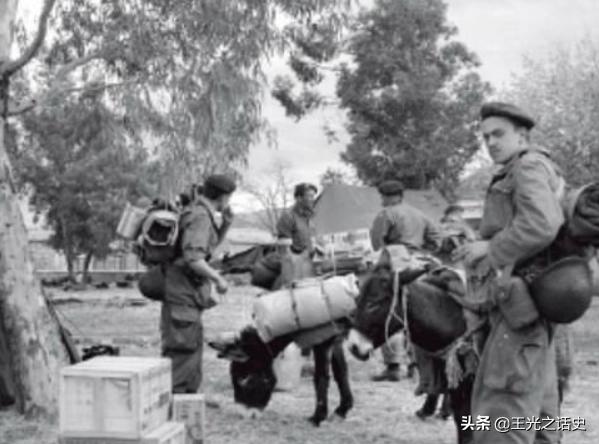 中东阿曼战争,阿曼国家有战争吗