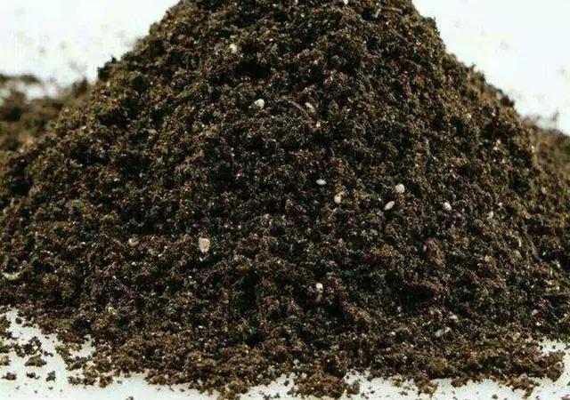 营养土包邮养花种植土,怎么做养花的生根土和营养土