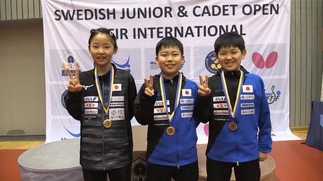 国乒23岁天才逆转张本智和,2017年世乒张本智和