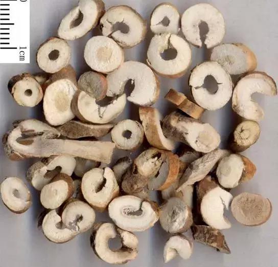 pick国花评选,国花评选活动