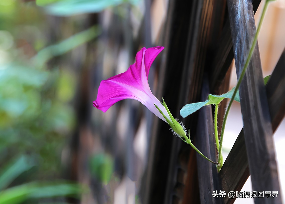 佳能6d现在有新的吗,佳能6d相机寿命多少时间