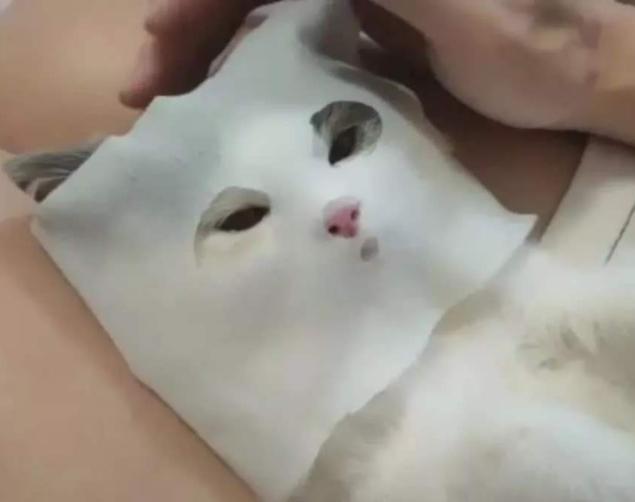 冬天敷面膜脸上刺痛是怎么回事,敷面膜脸颊刺痛发红是什么原因