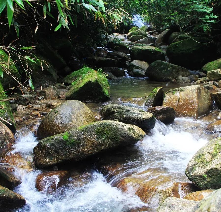 李来章简介,紫云书院与李来章