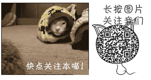 猫咪绝育头套需要戴几天,猫咪绝育后戴项圈不吃饭