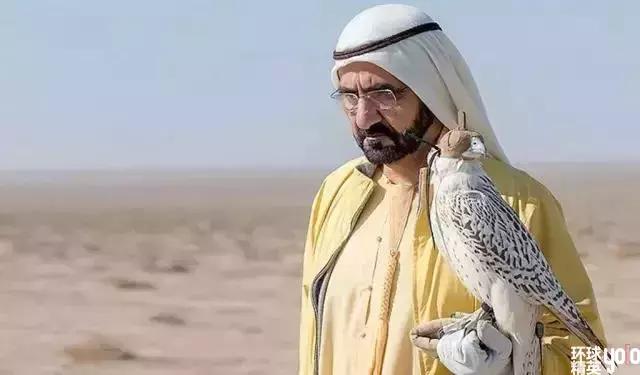 最强的迪拜王室,迪拜王室光鲜亮丽的背后