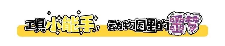 非洲大地最狂动物，动物园里连狮子毒蛇都有，偏偏没有它平头哥