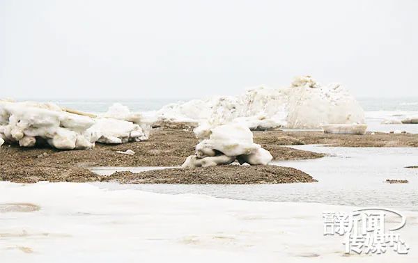 壮观的北极峡湾,壮观冰雪世界