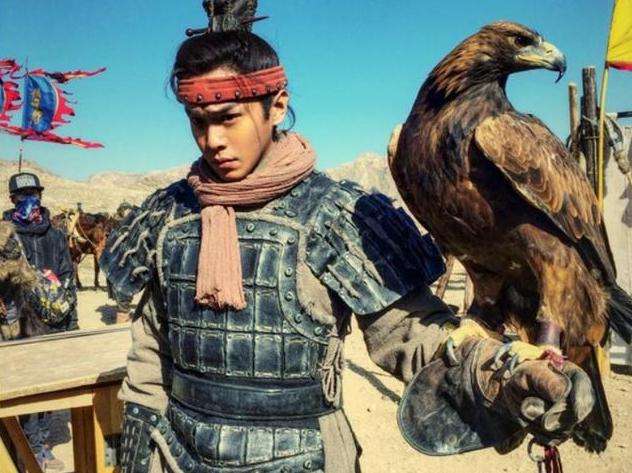 汉家少年霍去病,骠骑将军霍去病