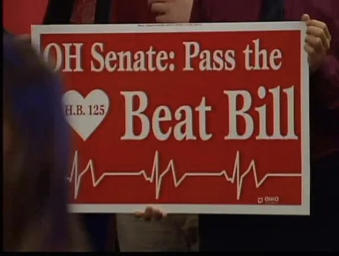 波兰反对堕胎的历史,波兰反对最严堕胎法