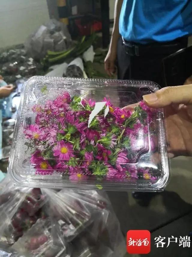 瓒呴矞鍐诲搧澶ч噺鐜拌揣渚涘簲,搴撳瓨閫熷喕鏋滆敩璐ф簮鍏呰冻