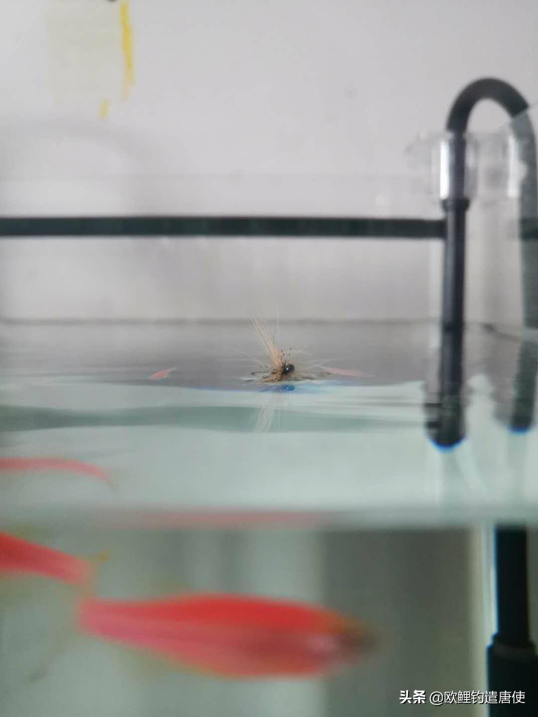 夏季下雨过后钓鱼应如何选择钓位,夏季垂钓这3个钓位上鱼超多