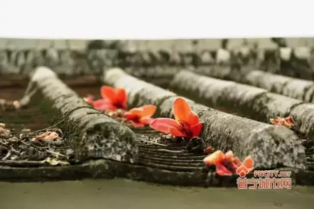 普宁三都中学怎么样,普宁都有哪些学校