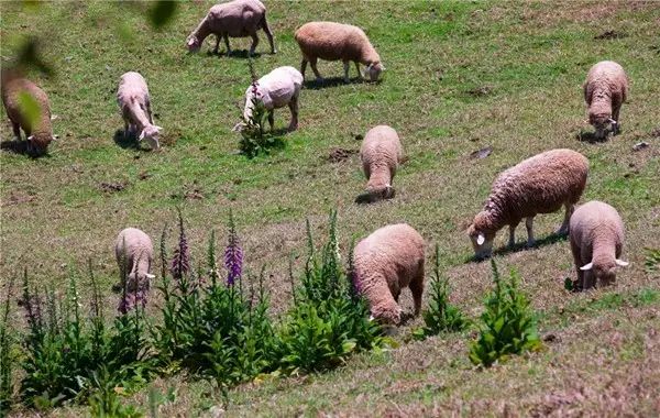台湾攻略台湾自由行,最新台湾自由行攻略