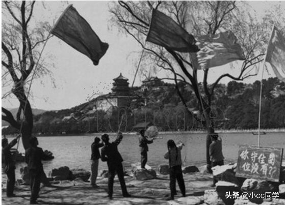 灭四害年代,哪年全国掀起剿四害运动