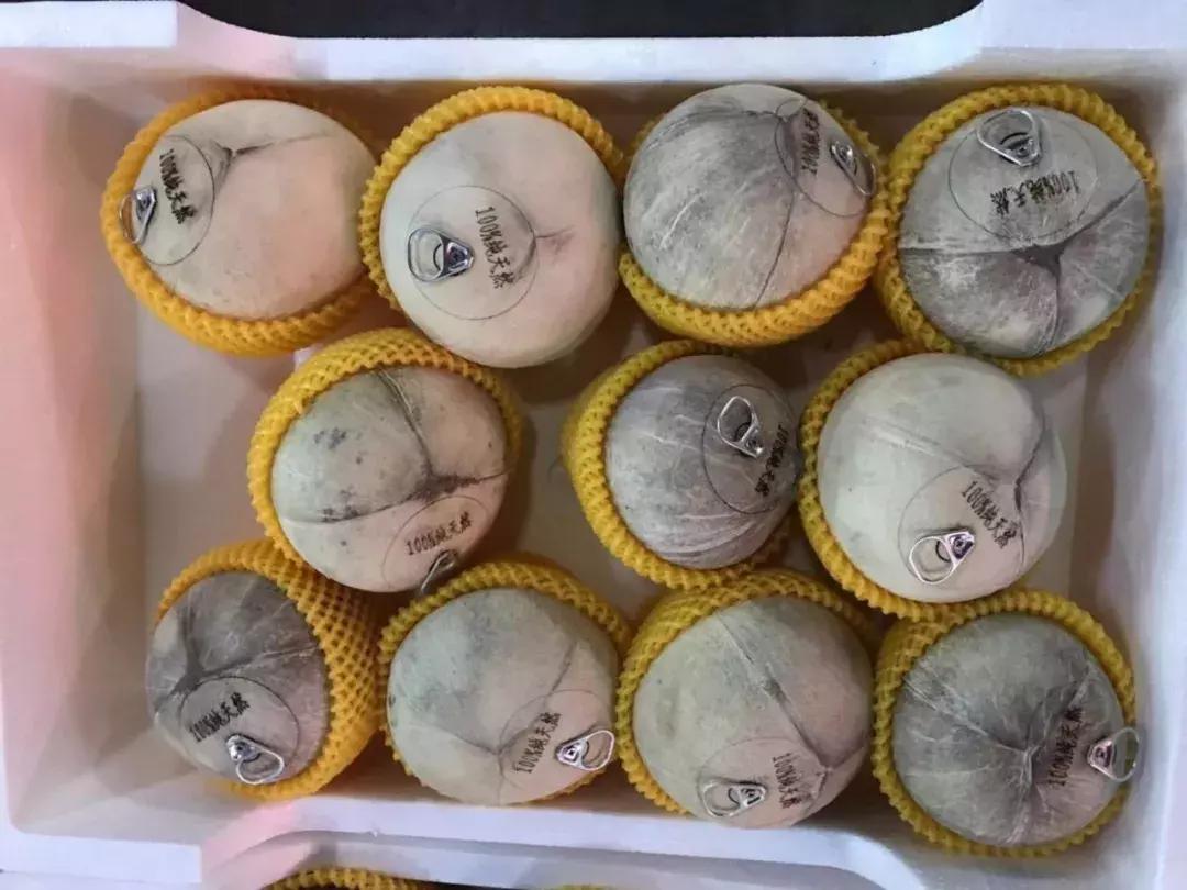 进口的水果有哪些,进口水果价格高的解决办法