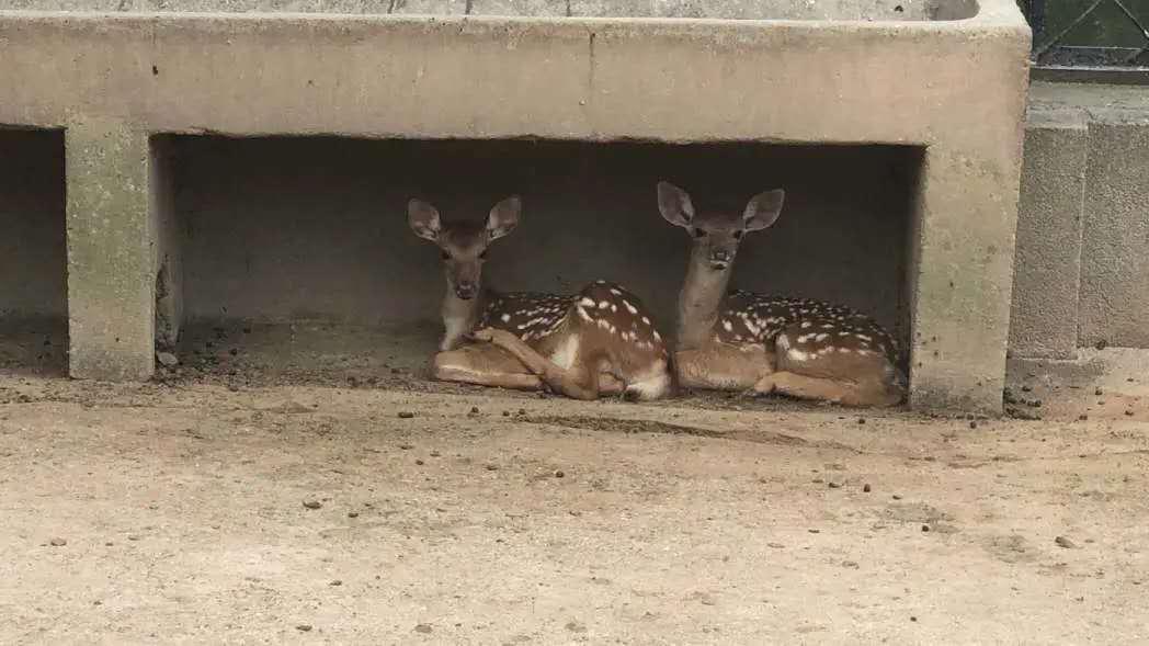 端午节武汉去处 (武汉端午节小长假去哪玩)