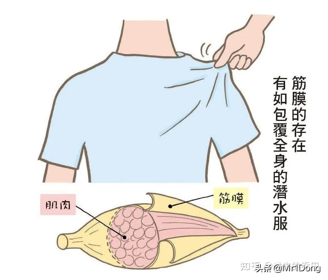 想买个筋膜枪哪个牌子好,100元左右筋膜枪哪个牌子好