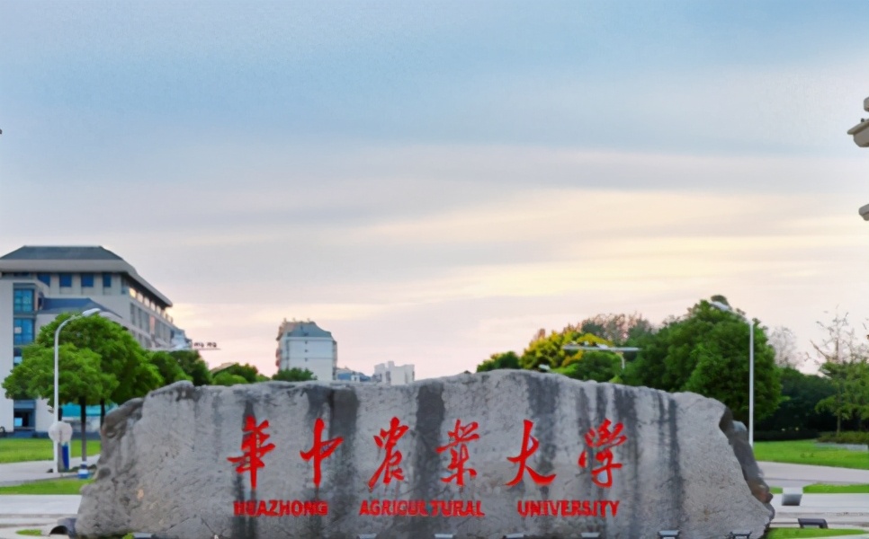 武汉成人大专院校有哪些,武汉有哪些正规成人技术学校