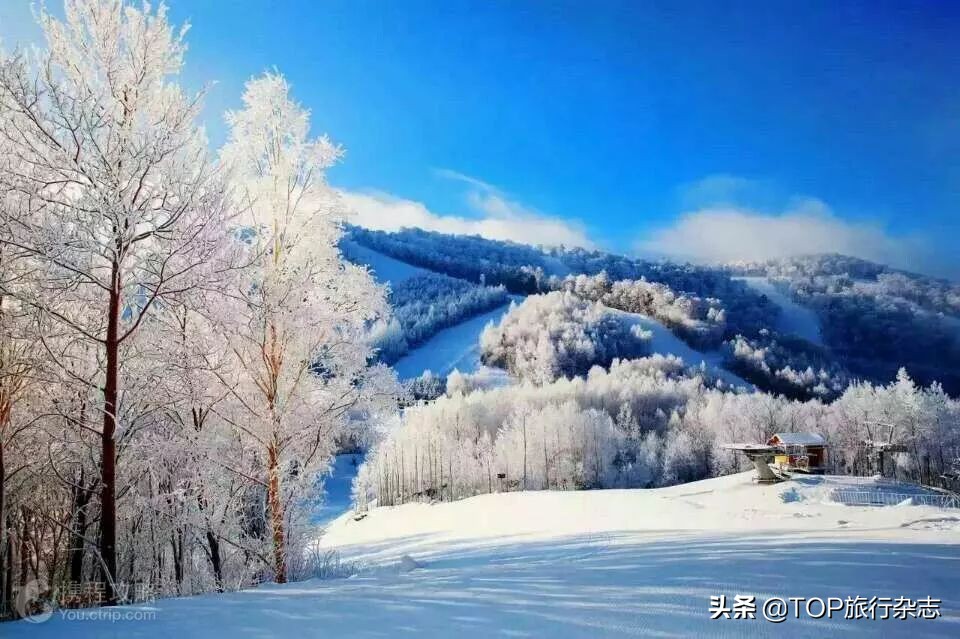 这才是真正的冰雪旅游,2021年冰雪旅游十大城市