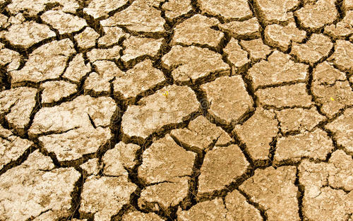 燥痹的症状和治疗方法,燥痹中医诊断标准