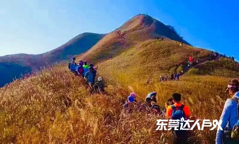 徒步挑战增城第一高峰牛牯嶂,挑战阳山第一峰