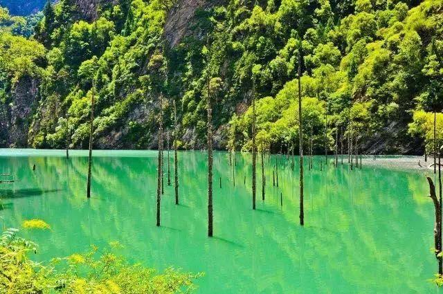 九寨沟旅游神奇的九寨,九寨沟风景不输瑞士